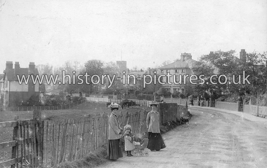 Chipping Hill and St Nicholas Church, Witham, Essex. c.1905